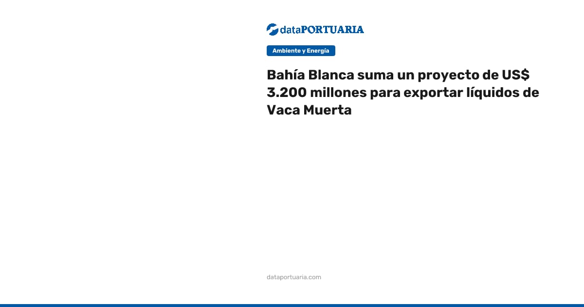 Bahía Blanca suma un proyecto de US$ 3.200 millones para exportar ...